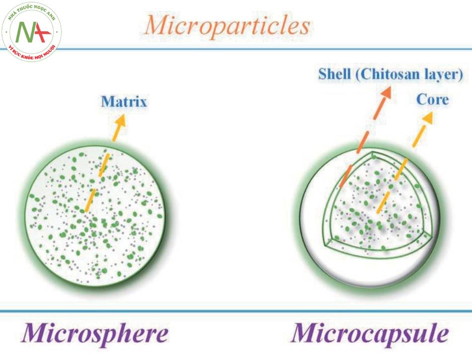 Cách trình bày microsphere của Klenzit MS.
