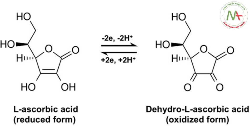 Cấu trúc của L-Ascorbic acid và dehydro-L-ascorbic acid 