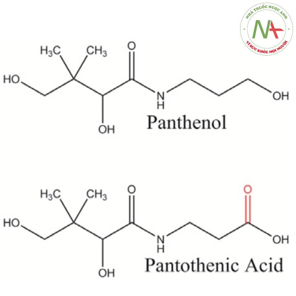 Cấu trúc của panthenol và pantothenic acid: trên thị trường có D-panthenol mới cho hiệu quả.