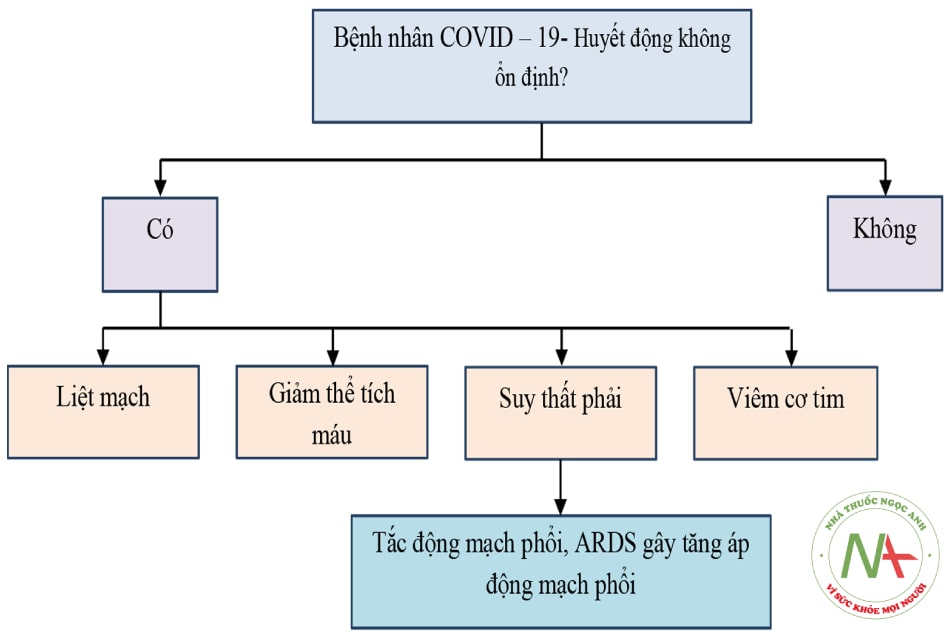 Hình 10.1. Cơ chế rối loạn huyết động ở bệnh nhân COVID-19