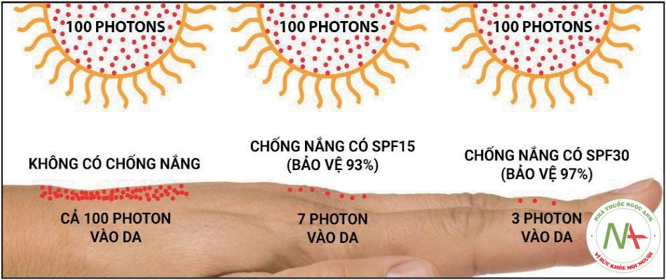 Khi da không được bảo vệ, ánh nắng sẽ chiếu toàn bộ lên da, chống nắng có SPF15 cho phép 7 photon ánh sáng qua da, SPF  30 cho phép 3 photon ánh sáng qua.