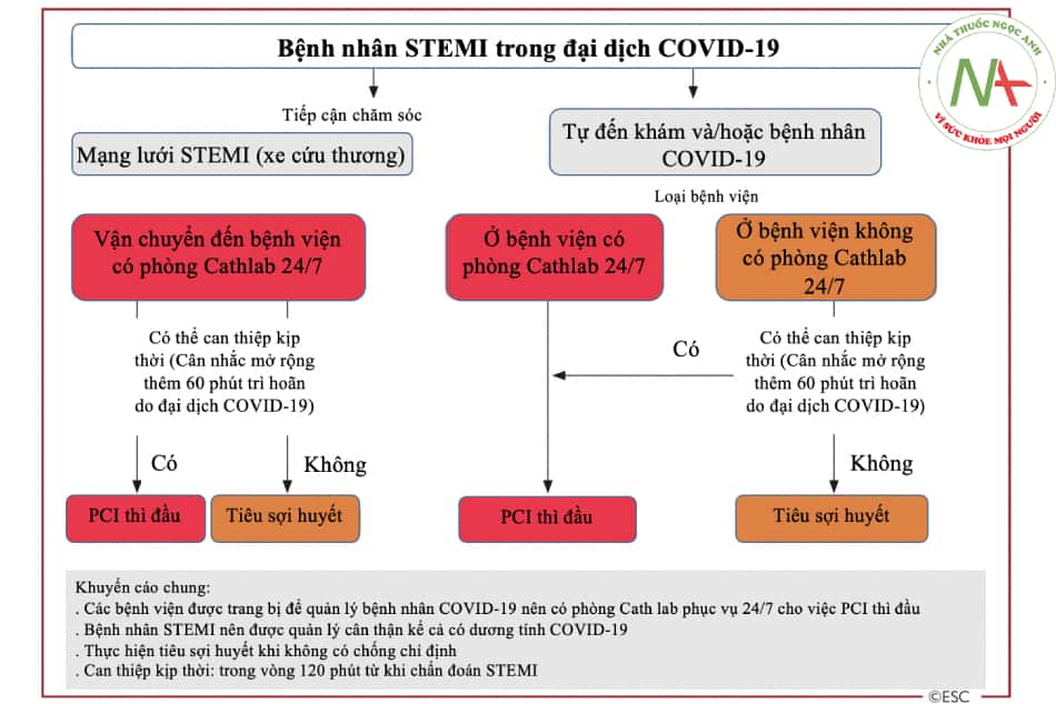 Hình 17.2. Chiến lược điều trị nhồi máu cơ tim ST chênh lên trong bối cảnh đại dịch COVID-19 (theo ESC 2021)