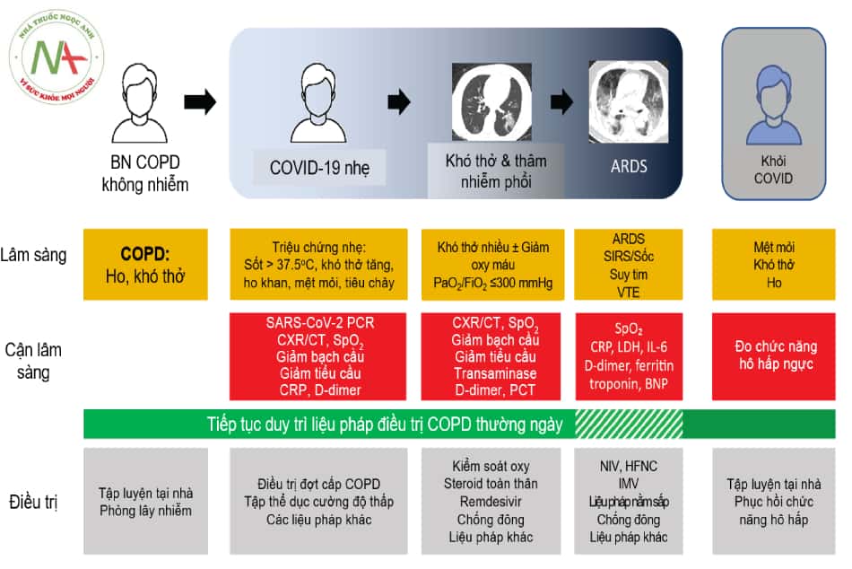 Hình 20.2. COVID-19 và COPD