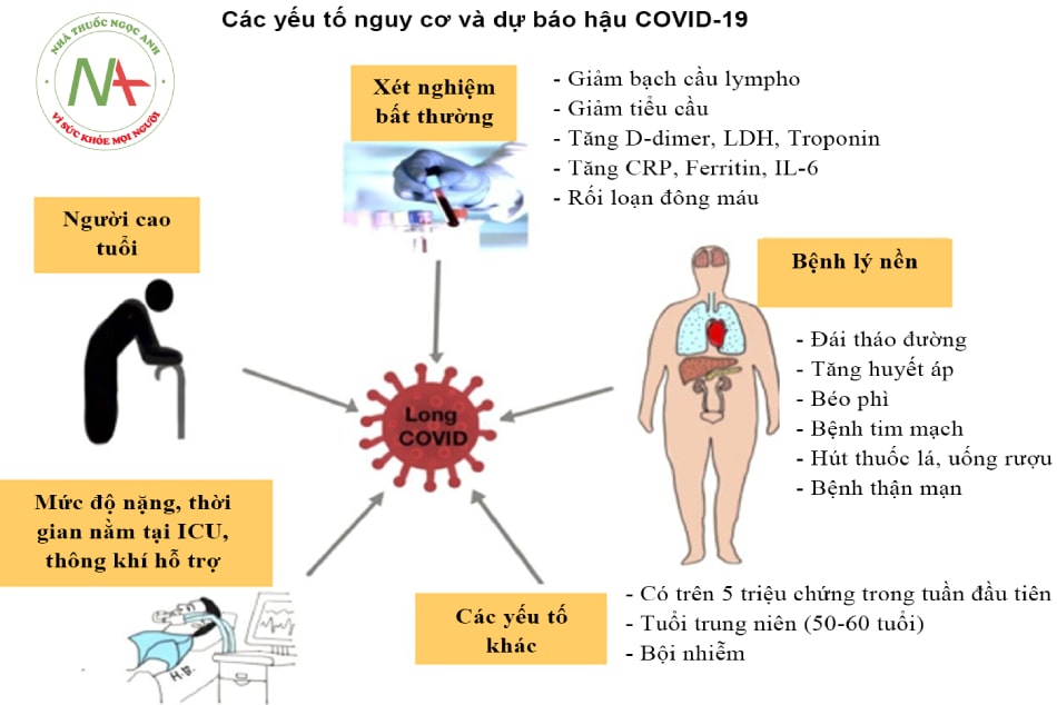Hình 24.1. Các yếu tố nguy cơ và dự báo xuất hiện hội chứng hậu COVID-19