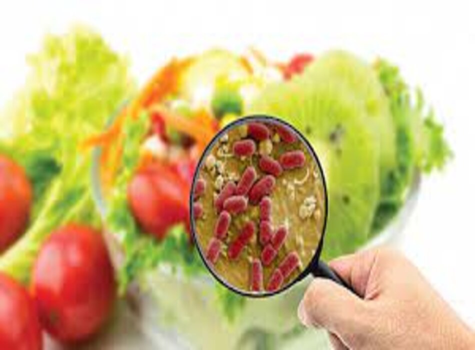 Ngộ độc thực phẩm: Nguyên nhân, chẩn đoán và điều trị theo BMJ