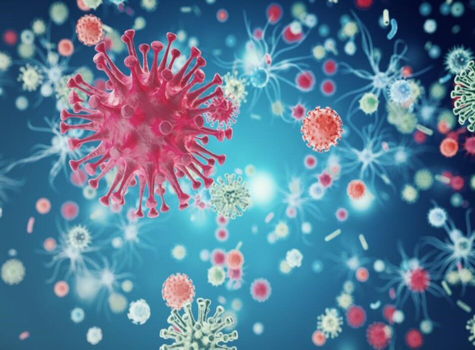 Nhiễm virus hợp bào hô hấp: Nguyên nhân, chẩn đoán và hướng dẫn điều trị theo BMJ