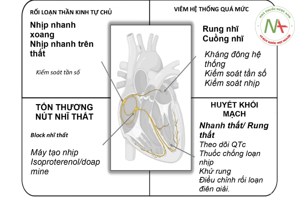 Hình 9.9. Rối loạn nhịp tim trong và sau khi nhiễm COVID-19. Hình này minh họa ảnh hưởng của nhiễm COVID-19 đối với hệ thống dẫn truyền của tim, phổ của rối loạn nhịp tim và các chiến lược xử trí cần xem xét.
