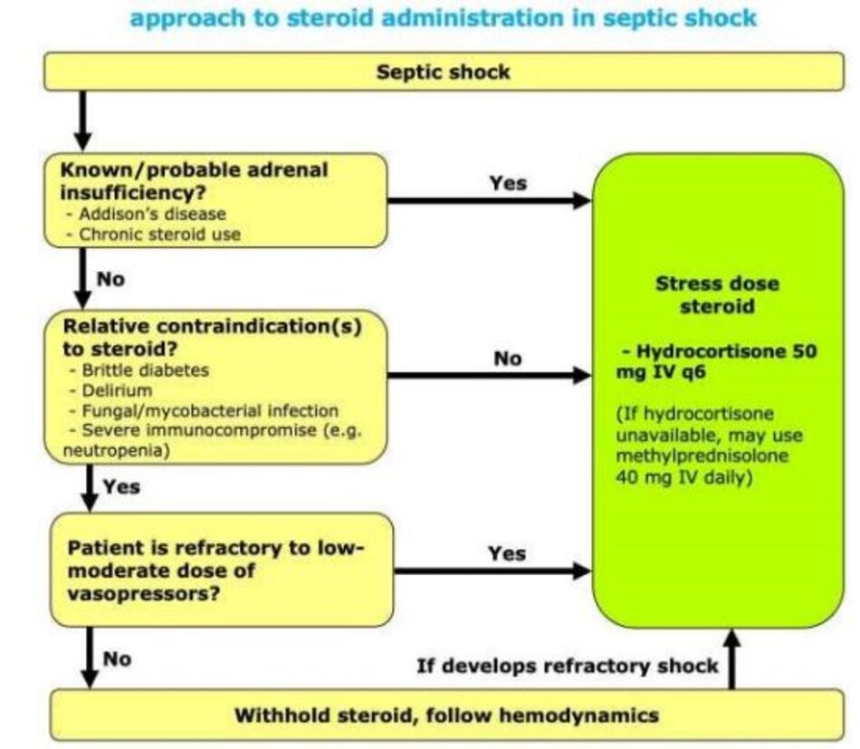 approach to steriod administration in septic shock
