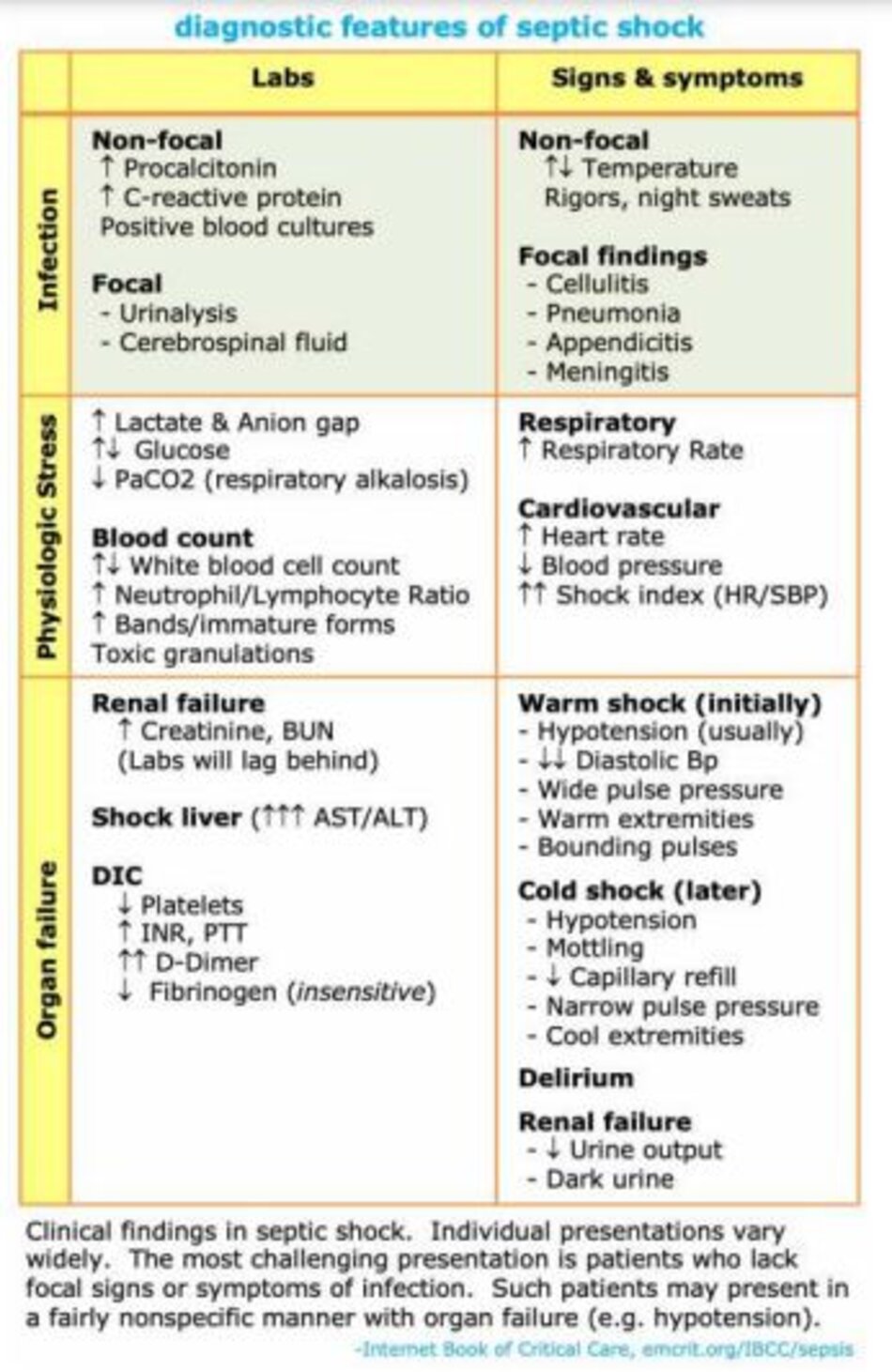 Diagnostic features of septic shock 