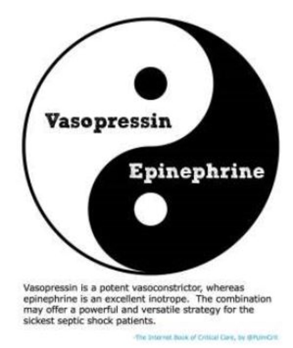Cân nhắc kết hợp vasopressin với epinephrine (thay vì norepinephrine)