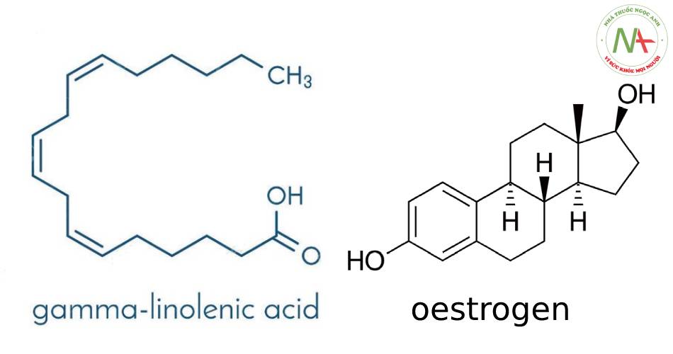 Sự khác biệt về cấu trúc giữa GLA và oestrogen: GLA là acid hữu cơ có chứa mạch thẳng hydrocarbon không no trong khi oestrogen cấu trúc dạng vòng.
