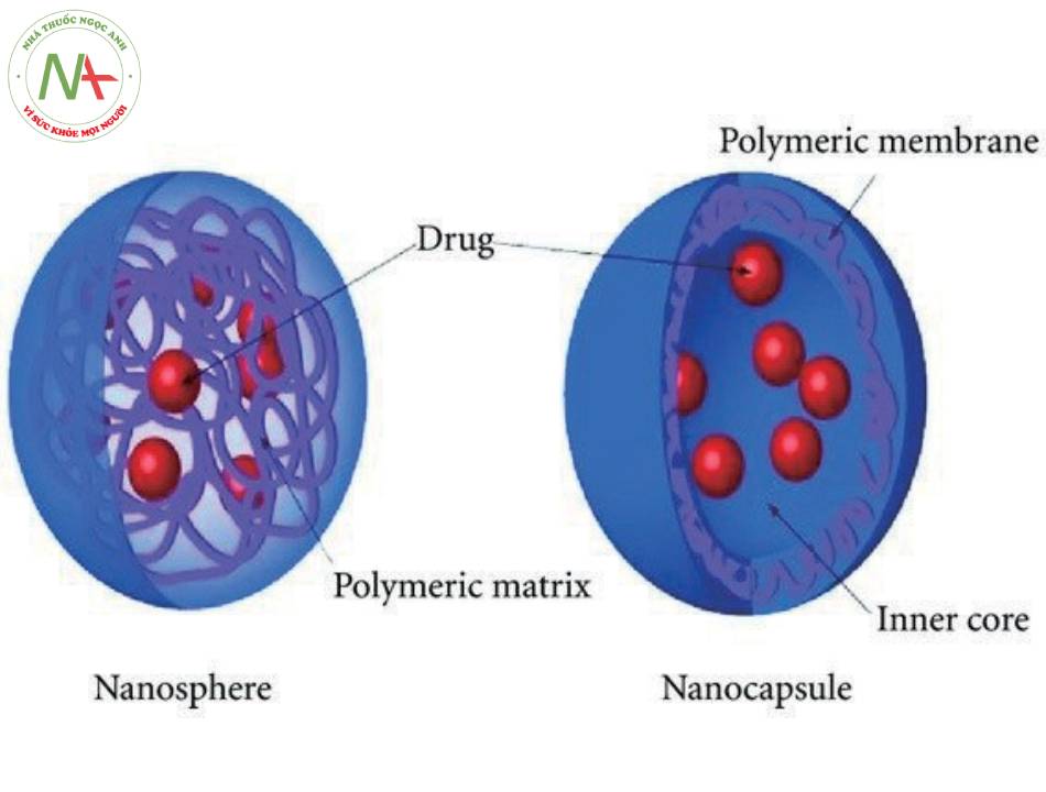 Sự khác nhau giữa nanocapsule và nanosphere.