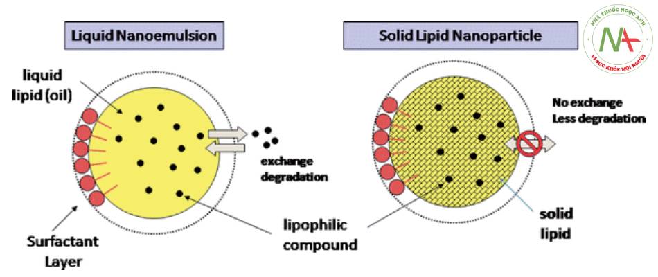 Dạng trình bày nhũ hóa dạng nano (nanoemulsion) khác với solid lipid nanoparticle khi mà SLN được bọc trong bao nên thuốc không tự do thoát ra ngoài vỏ này được.