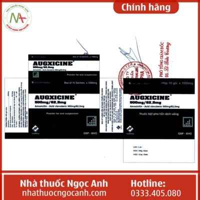 Nhãn thuốc Augxicine 500mg/62,5mg