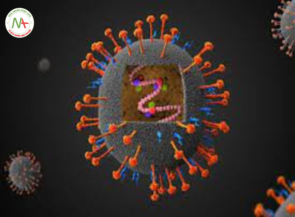 Nhiễm nhóm henipavirus: Nguyên nhân, chẩn đoán và hướng dẫn điều trị theo BMJ