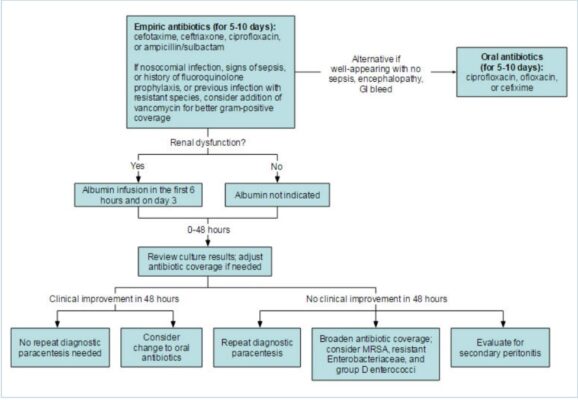 Algorithm for the treatment of spontaneous bacterial peritonitis From the personal collection of Brian Chinnock, MD; used with permission