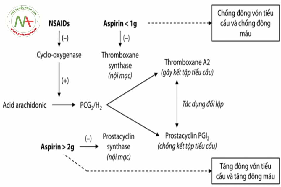 Hình 8.2: Cơ chế kháng kết tập tiểu cầu của aspirin và NSAIDs