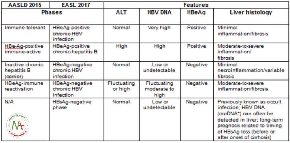 Hình 3: Các giai đoạn nhiễm viêm gan B mạn tính [AASLD = Hiệp hội Nghiên cứu Bệnh Gan Hoa Kỳ, EASL = Hiệp hội Nghiên cứu Gan Châu Âu; *cccDNA]