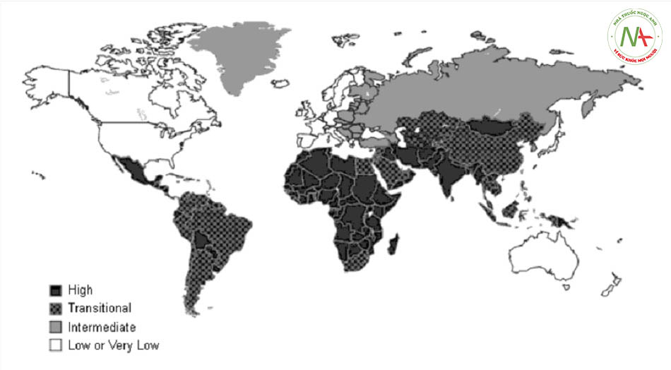 Hình 2: Phân bố tỷ lệ bệnh viêm gan A theo khu vực địa lý (dựa trên tóm tắt dữ liệu sẵn có)