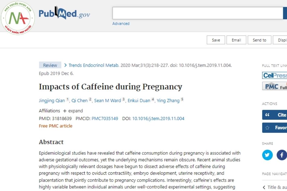 Impacts of Caffeine during Pregnancy