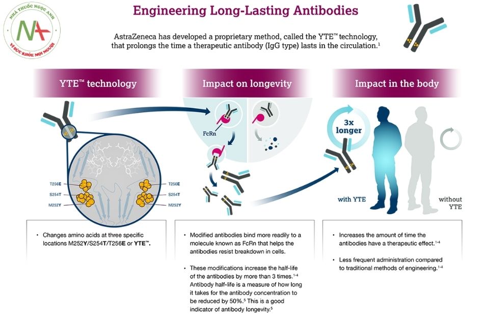 Công nghệ YTE độc quyền của AstraZeneca 