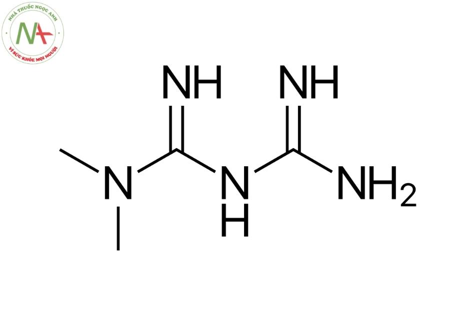 Cấu trúc phân tử Metformin
