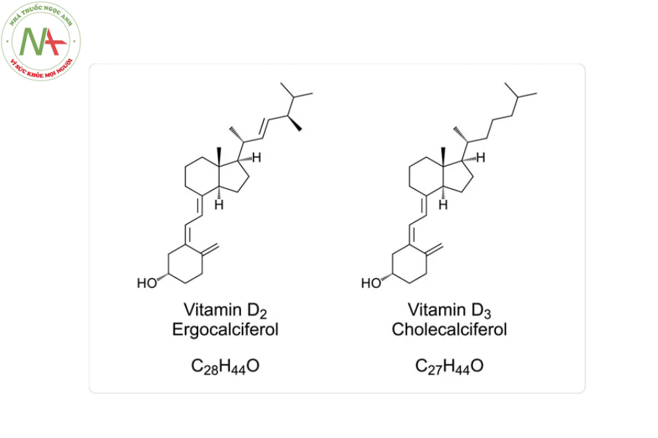 Cấu trúc hóa học của Vitamin D