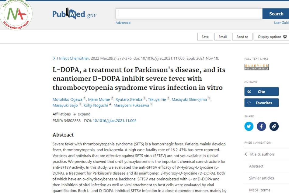 L-DOPA, a treatment for Parkinson's disease, and its enantiomer D-DOPA inhibit severe fever with thrombocytopenia syndrome virus infection in vitro.