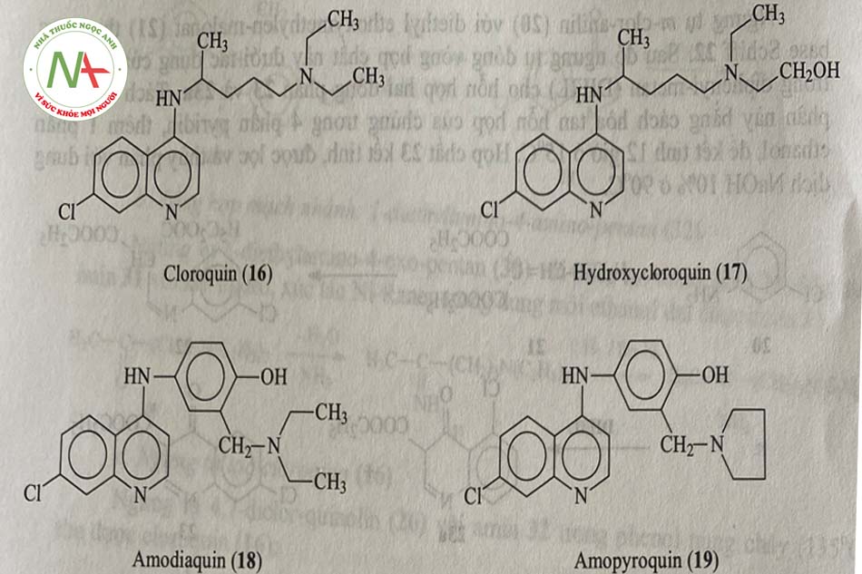Dẫn chất 4-aminoquinonlin