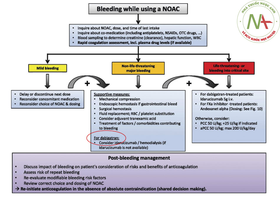 Figure 9 Management of bleeding in patients taking NOACs. aPCC, activated prothrombin complex concentrates; NOAC, ...