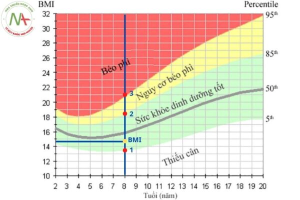 Chỉ số BMI là gì? Cách tính BMI cho người lớn và trẻ em