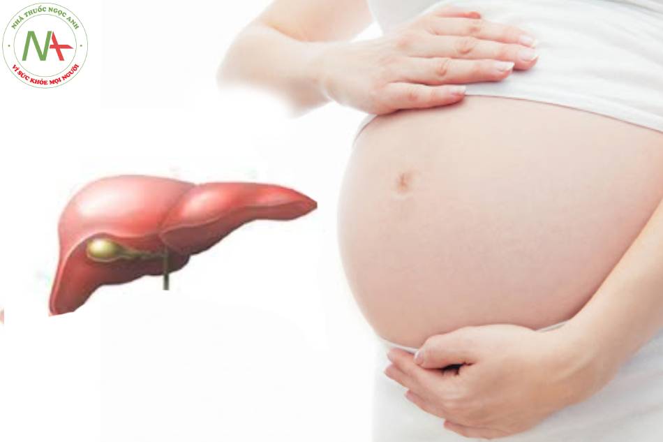 Các bệnh về gan trong thai kỳ