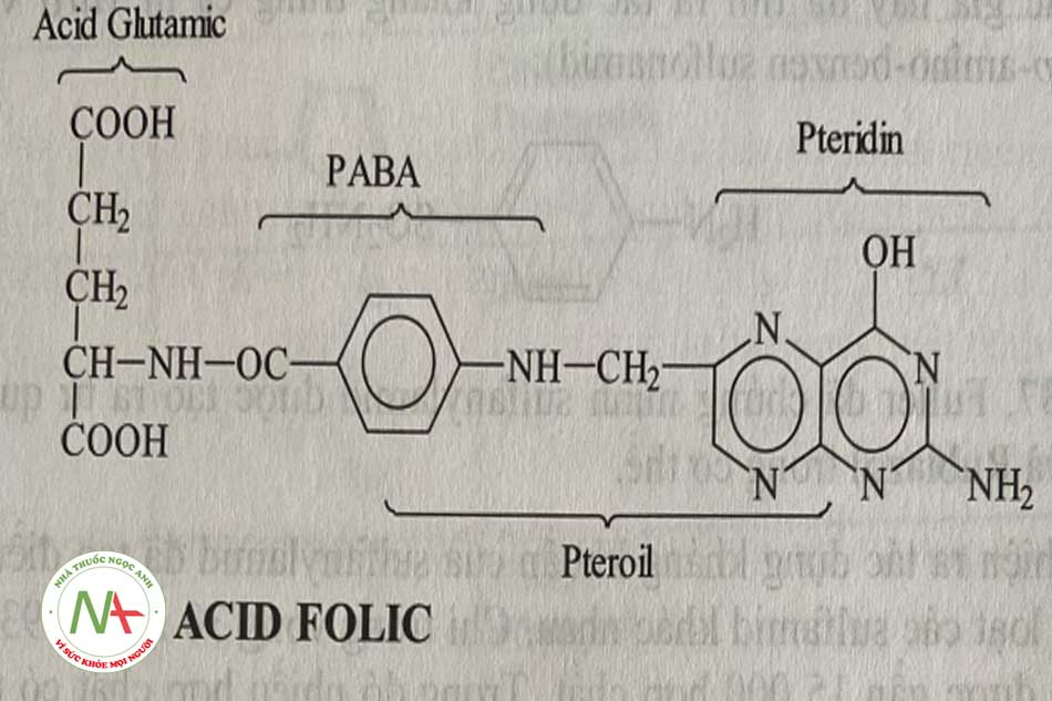 Cấu trúc acid folic