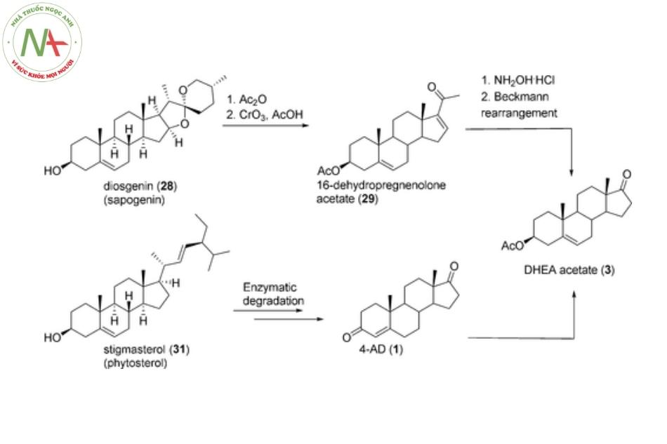 Diosegenin ( 28 ) và Stigmasterol ( 31 ) là tiền chất để tổng hợp DHEA Acetate (
