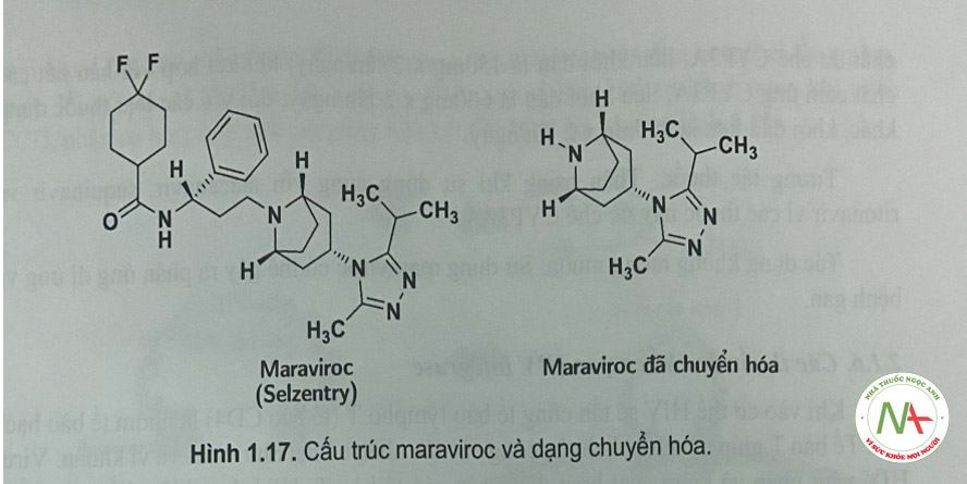 Hình 1.17. Cấu trúc maraviroc và dạng chuyển hóa.