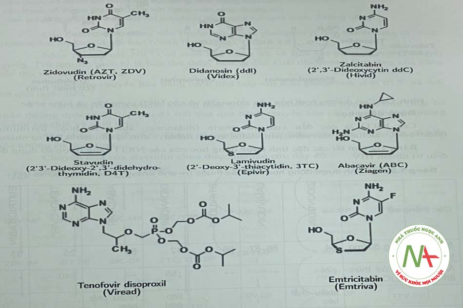 Hình 1.4. Các thuốc ức chế enyzm phiên mã ngược có cấu trúc nucleosid (NRTI).