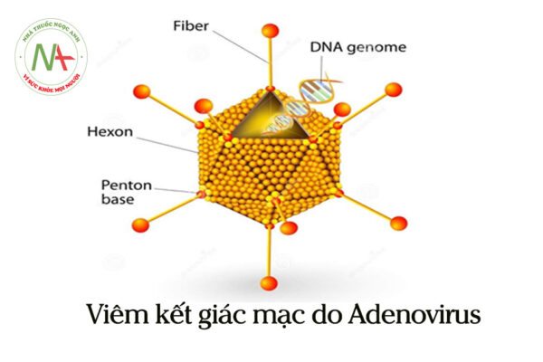 Viêm kết mạc do Adenovirus
