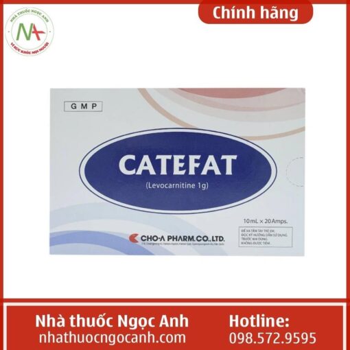 Tác dụng của thuốc Catefat