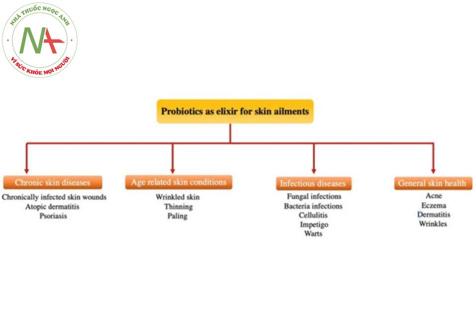 Hình 2.1 Vai trò đầy hứa hẹn của probiotic trong các bệnh da khác nhau