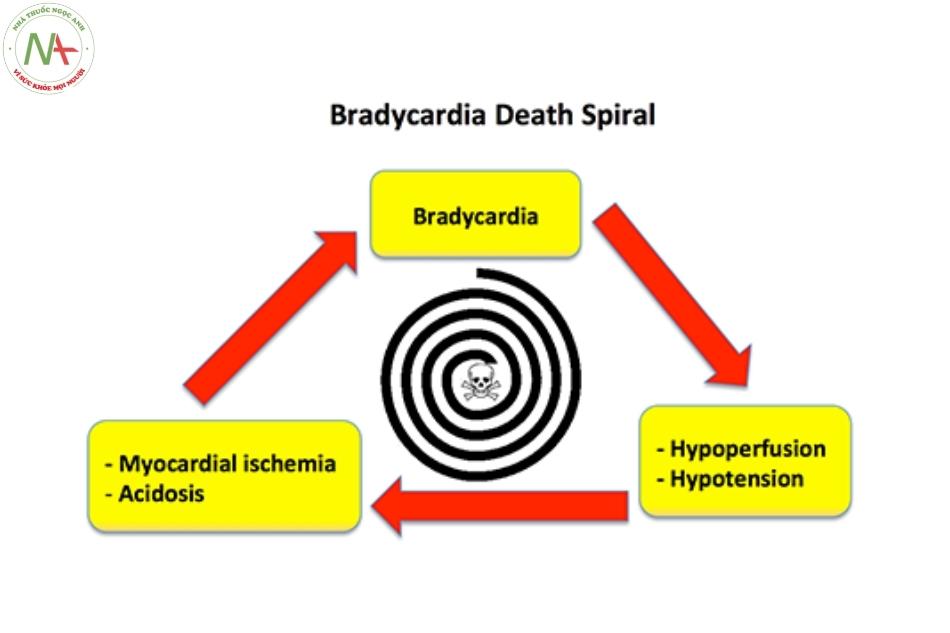 Bradycardia death spiral