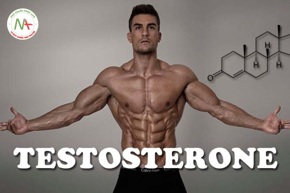 Hormone testosterone - hormone của phái mạnh
