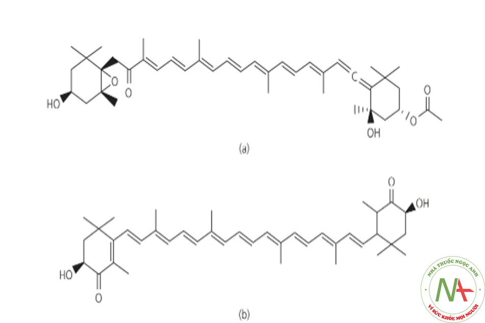 Hình 20.1 Cấu trúc hóa học của fuxanthin (a) và astaxanthin (b)