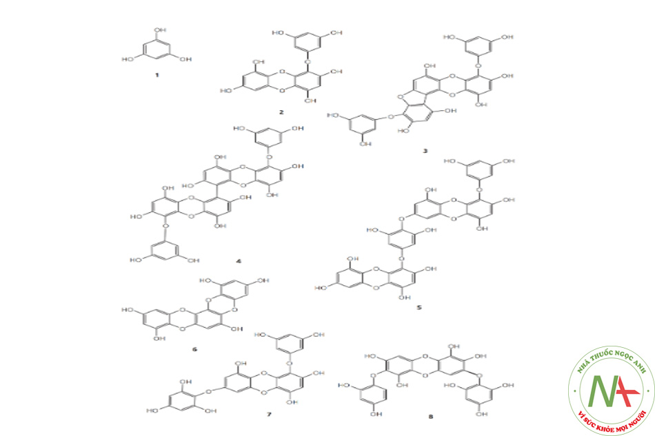 Hình 20.2 Cấu trúc của phlorotannin từ tảo nâu (phloroglucinol (1), eckol (2), fucofuroeck-ol-A (3), dioxinodehydroeckol (4), 8,8’-bieckol (5), 7-phloroeckol (6), phlorofucofuroeckol-A ( 7), dieckol (8)).
