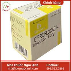 Tác dụng của thuốc Ciprofloxacin Tablets Usp 500Mg