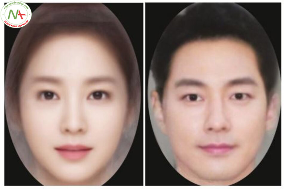 Hình 1.15 Khuôn mặt hấp dẫn của nam và nữ Hàn Quốc được tổng hợp từ 10 khuôn mặt người nổi tiếng Hàn Quốc 