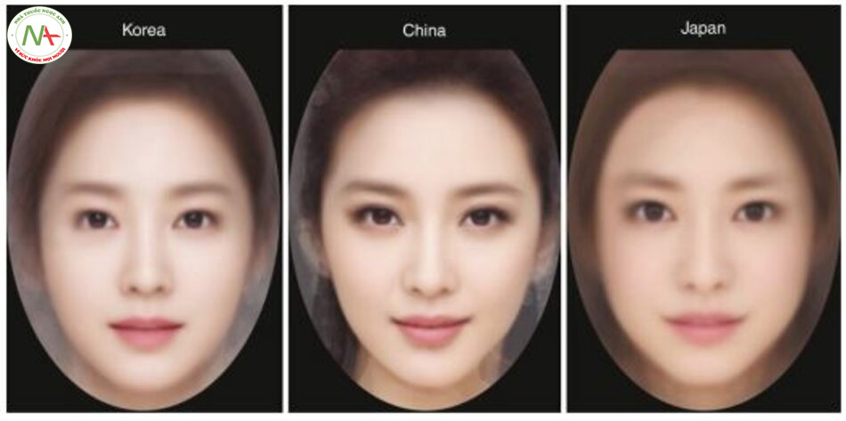 Hình 1.22 So sánh khuôn mặt tổng hợp hấp dẫn của phụ nữ Hàn Quốc, Trung Quốc và Nhật Bản từ 10 khuôn mặt của những người nổi tiếng thuộc từng quốc gia (từ trái sang phải).