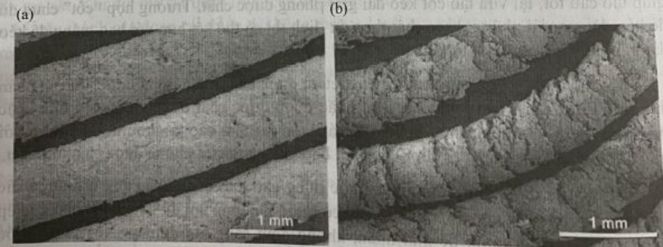 Hình 11. Hình ảnh trên kính hiển vi điện tử quét (SEM) của sợi đùn: (a) có bề mặt nhẵn, mịn và (b) thô, ráp [19]