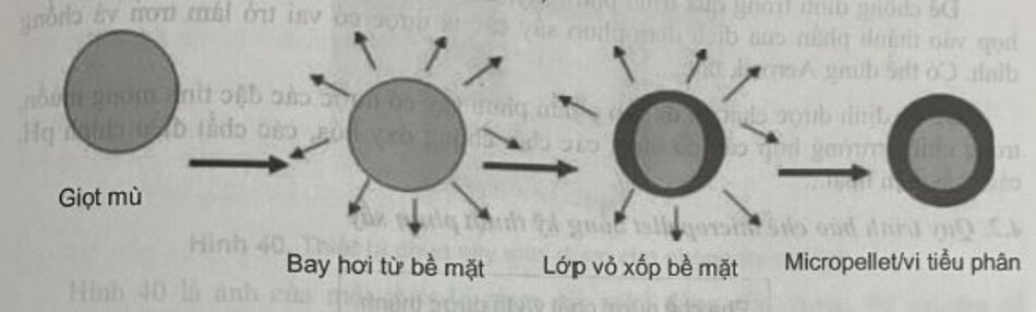 Hình 38. Sự hình thành micropellet/vi tiểu phân trong quá trình phun sấy [18]