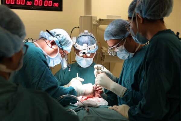 Kết hợp y học tái tạo và phẫu thuật: Chất bịt dạng sợ