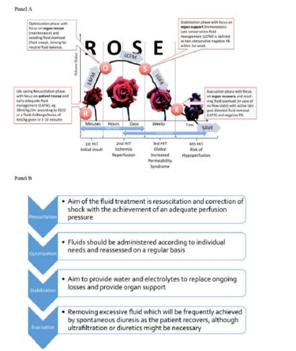 Hình 1 Khái niệm R.O.S.E. và 4 giai đoạn của Liệu pháp dịch truyền. Được điều chỉnh với sự cho phép của Malbrain et al. [9]. Biểu đồ thể hiện mô hình bốn cú đấm với sự tiến triển của tình trạng thể tích dịch truyền tích lũy của bệnh nhân theo thời gian trong năm giai đoạn khác nhau của hồi sức: Hồi sức (R), Tối ưu hóa (O), Ổn định (S) và Dẫn lưu (E) (ROSE), tiếp theo là nguy cơ có thể xảy ra giảm tưới máu trong trường hợp hồi sức quá tích cực. Khi nhập viện, bệnh nhân giảm thể tích tuần hoàn, tiếp theo là mất thể tích tuần hoàn sau khi hồi sức dịch (EAFM, quản lý đủ dịch sớm), và có thể quá tải dịch, tiếp theo là giai đoạn chuyển sang giảm thể tích tuần hoàn với xử trí dịch bảo tồn muộn (LCFM) và loại bỏ dịch có mục tiêu muộn (LGFR) hoặc hồi sức. Trong trường hợp giảm thể tích máu, O2 không thể đi vào mô do các vấn đề đối lưu, trong trường hợp tăng thể tích máu thì O2 không thể vào mô do các vấn đề khuếch tán liên quan đến phù kẽ và phù phổi, phù ruột (hồi tràng và tăng áp lực ổ bụng). b Vai trò của dịch truyền trong ý tưởng R.O.S.E.